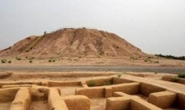 کنارصندل جیرفت در برزخ ابلاغ عرصه و حریم معطل مانده کنارصندل جیرفت در برزخ ابلاغ عرصه و حریم معطل مانده