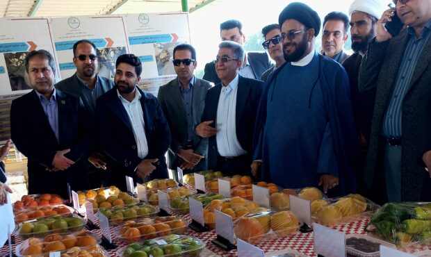 توسعه پژوهش کاربردی، کلید حل چالش‌های کشاورزی جنوب کرمان