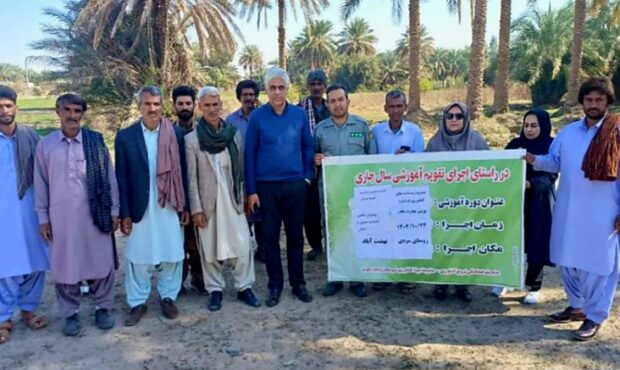 برگزاری دوره مدیریت پسماندهای کشاورزی و دوره کاهش مخاطرات و مفاهیم بیمه کشاورزی در ۸ شهرستان جنوب کرمان