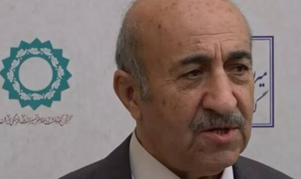 درخواست باستان شناس پیشکسوت از وزیر؛ جلوی زیاده‌خواهی در شهرقدیم جیرفت را بگیرید/ وزیر باید اقتدار داشته باشد