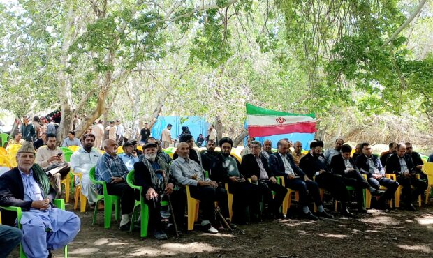 مراتع؛ سفره تولید و سدی در برابر فرسایش خاک/ تأکید بر بهره‌برداری اصولی از گیاهان دارویی