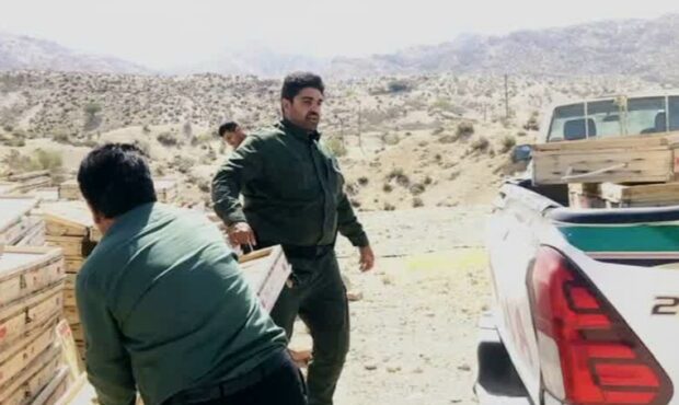 توقف عملیات معدن غیرمجاز در دلفارد جیرفت/ ادوات نمونه‌برداری ضبط شد